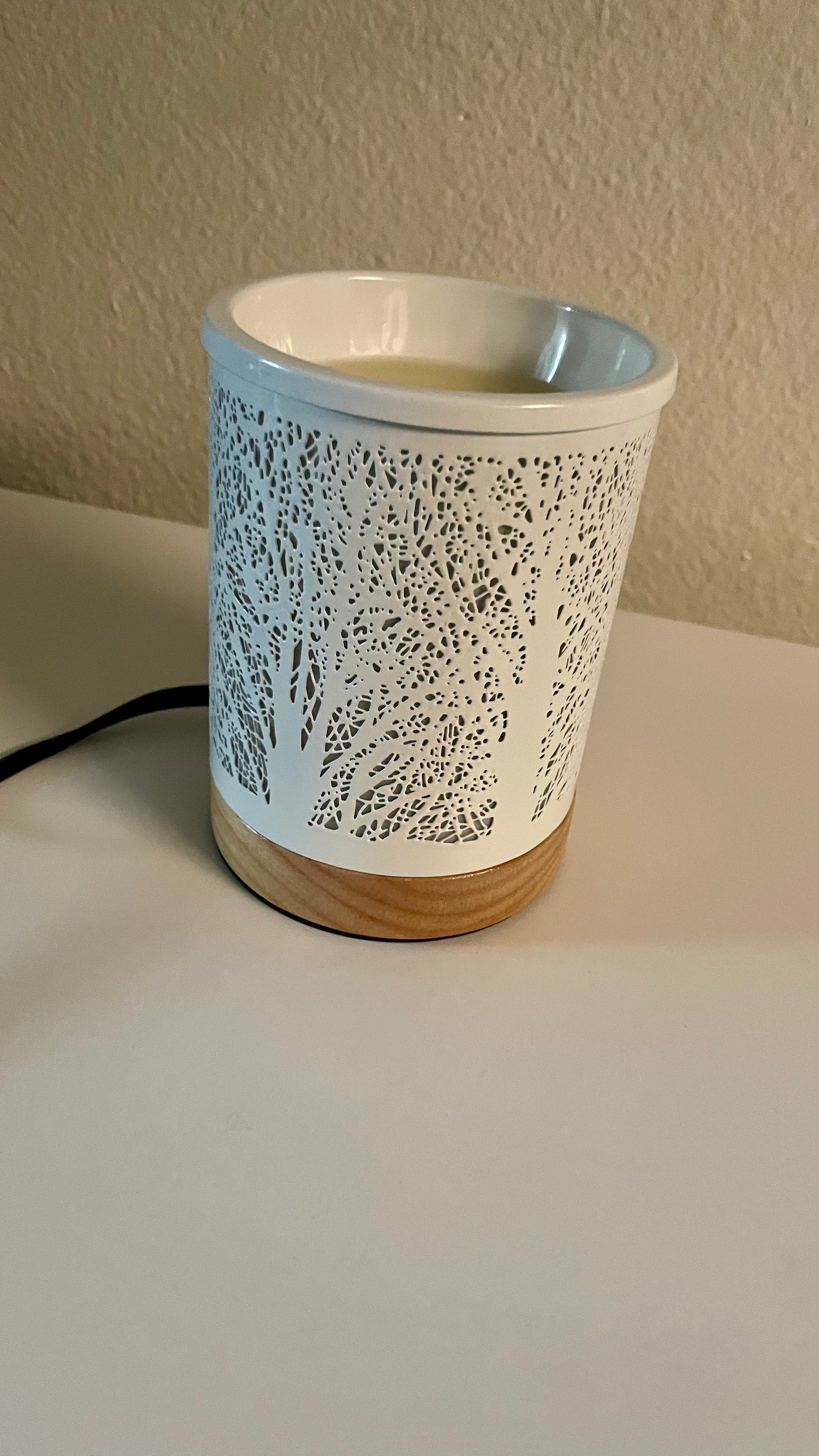 Wax Melter